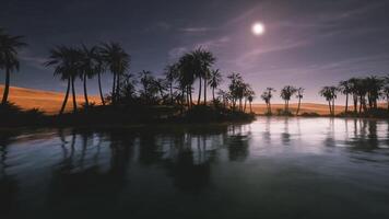 Tranquil oasis at dusk surrounded by palm trees and gentle waters video