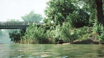 Tranquil riverside view with lush greenery and a charming bridge at noon video