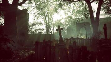 Misty graveyard at dawn with gravestones and sun rays filtering through trees video