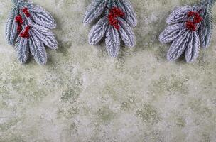 Frosty pine branches with berries photo