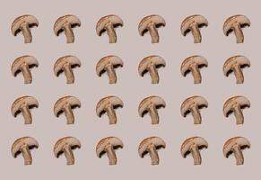 Raw champignon mushrooms isolated, pattern photo