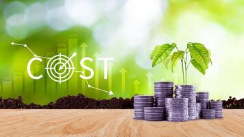 Cost reduction concept, Expenses and saving money, Business strategy and project management, with growth graph of quality control, cost reduction, efficient business and budget cutting. photo