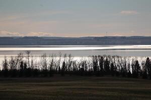 Lakeview at dusk, with trees silhouetted against the evening sky. photo