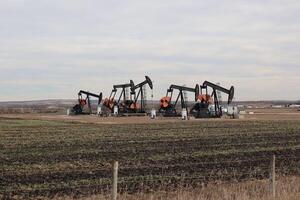 Four pumpjacks in one location, pumping oil. photo