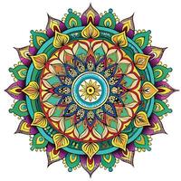 a colorful mandala design with a circular center vector