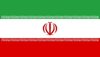 The flag of iran vector