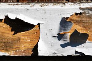 Wood abstract texture. Surface grunge backdrop. Dirty wooden effect pattern. Material background. photo