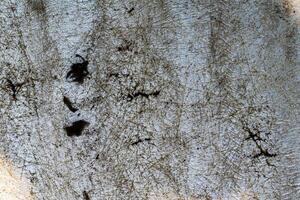 Plastic abstract texture. Surface grunge backdrop. Dirty effect pattern. Material background. photo