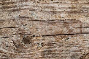 Wood abstract texture. Surface grunge backdrop. Dirty wooden effect pattern. Material background. photo