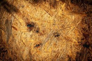 Wood abstract texture. Surface grunge backdrop. Dirty wooden effect pattern. Material background. photo