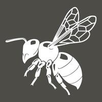 white bee line minimal flat illustration, isolated on Charcoal Brown background, top view vector