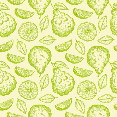 Bergamot engraved repeating background. Hand drawn seamless pattern with citrus plants. Vintage texture label with Seville orange bergamot tree fruit, leaf. Food ingredient, essential oil, herb