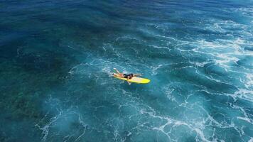 Surfer woman ride on yellow surfboard on a ocean wave. Aerial view video