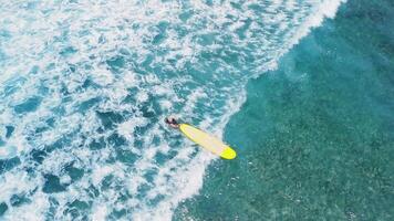 Drone view of female surfer paddling on surfboard in tropical ocean video