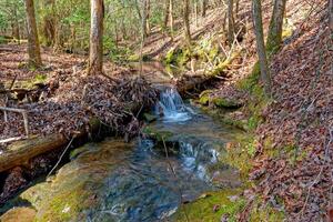 Flowing mountain creek with waterfall photo