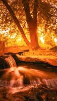 A waterfall flowing through a forest at sunset photo