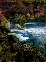A waterfall in a forest with a river flowing through it photo