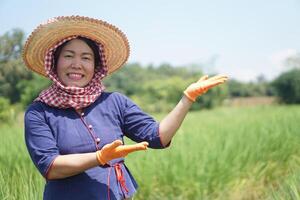 Happy Asian woman farmer is at paddy field, wear hat and gloves. Make hands gesture to present somethings with confident. Concept, agriculture occupation. Thai farmer. photo