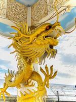 Dragon statue,dragon symbol,dragon Chinese is a beautiful Thai and Chinese architecture of shrine, temple.Symbol of good luck and prosperity during the Chinese New Year celebrations. photo