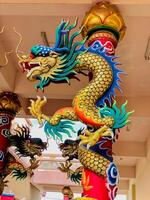 Dragon statue,dragon symbol,dragon Chinese is a beautiful Thai and Chinese architecture of shrine, temple.Symbol of good luck and prosperity during the Chinese New Year celebrations. photo