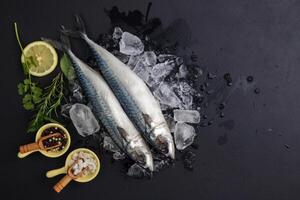 Raw scomber mackerel on ice with cooking ingredients, lemon, rosemary, pepper, on black background, dark, top view, copy space. photo