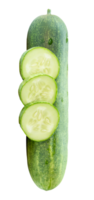 Top view of single fresh green cucumber with slices in circle shape in stack isolated in file format png