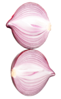 Top view photo of two big red or purple onion bulbs in halves or shallot isolated in file format png