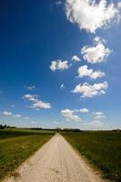 Pathway and green nature photo