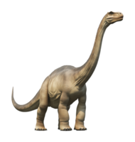 Brachiosaurus Isolated on Transparent Background png