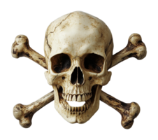 Smiling Skull and Crossbones Isolated on Transparent Background png
