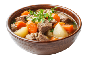 A bowl of soup with meat and carrots isolated on transparent background png