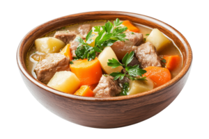 A bowl of soup with meat and carrots isolated on transparent background png