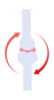 Joint bones rotating showing movement and mobility png
