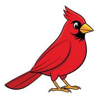 A cartoon red cardinal bird on a white background vector