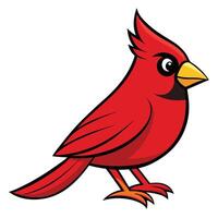 A cartoon red cardinal bird with a yellow beak vector