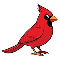 A cartoon red cardinal bird standing on a white background vector