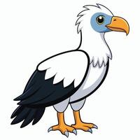 A cartoon white and black bird with a long beak vector