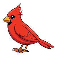 A cartoon red cardinal bird on a white background vector