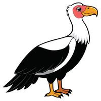 A cartoon vulture with a red beak and black and white feathers vector