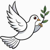 A white dove with an olive branch in its beak vector