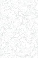 White abstract topographic background modern design illustration template vector