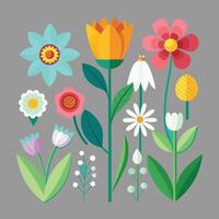 Spring flower collection vector