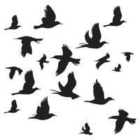 Silhouette flock of birds are flying on the sky with white background vector