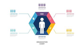 organization chart Infographic template for with business avatar icons. vector
