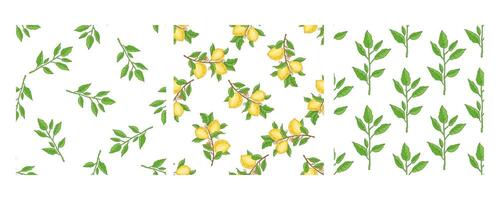 Hand-drawn seamless pattern with lemons and green branches vector