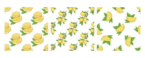 Hand-drawn seamless pattern with lemons, branches, and mint leaves vector