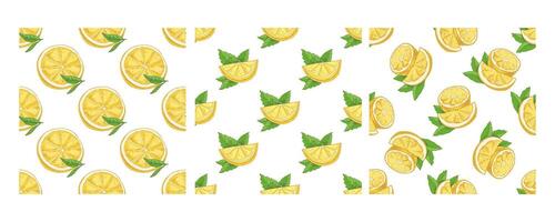 Hand-drawn seamless pattern with lemon slices and green mint leaves vector