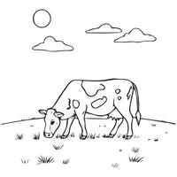 Cow Coloring Page vector