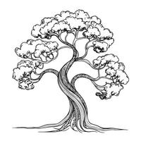 Tree creative Coloring Page vector