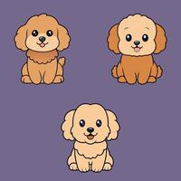Set of Playful Poochon Dogs Sitting in Style Isolated Vectors